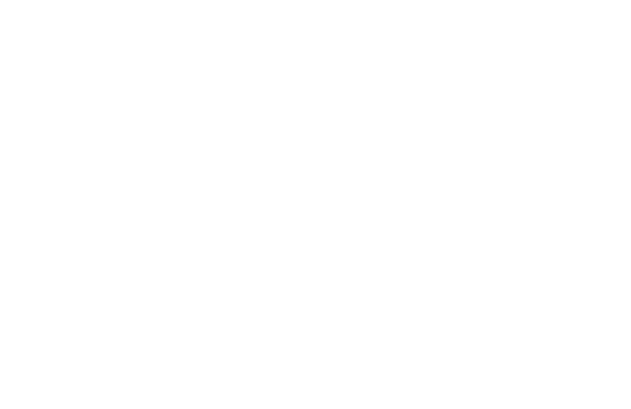 Special Mention, Best Director
