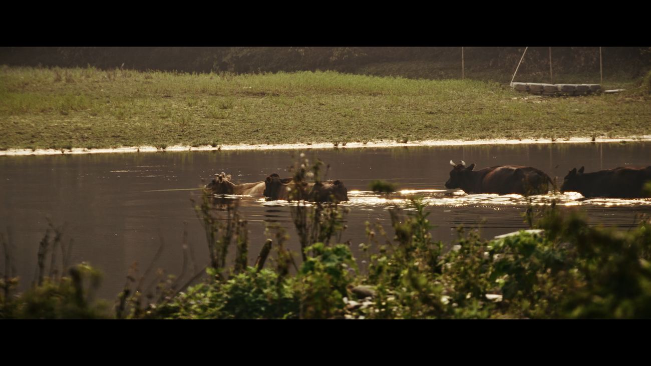 Still from The Warrior Monk