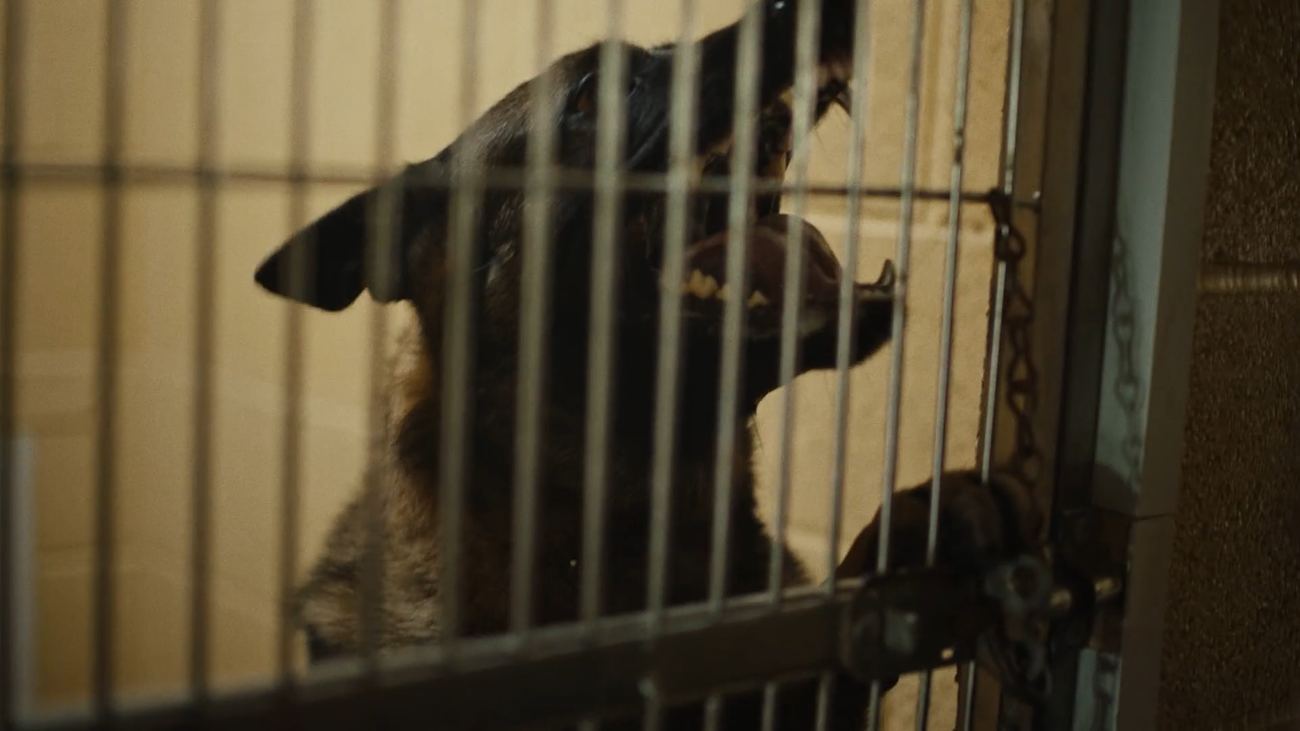 Still from Unconditional