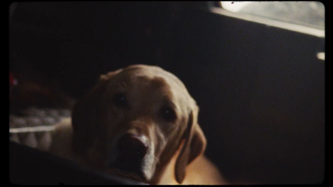 Still from Unconditional
