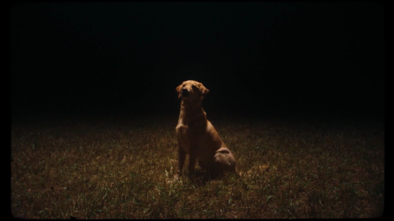 Still from Unconditional