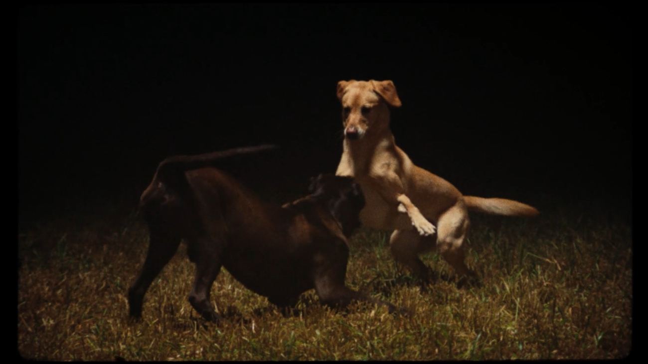 Still from Unconditional