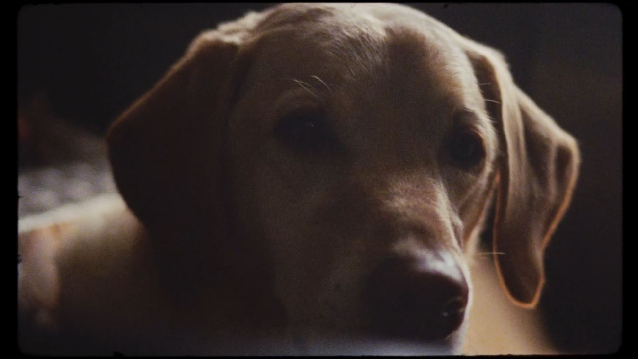 Still from Unconditional
