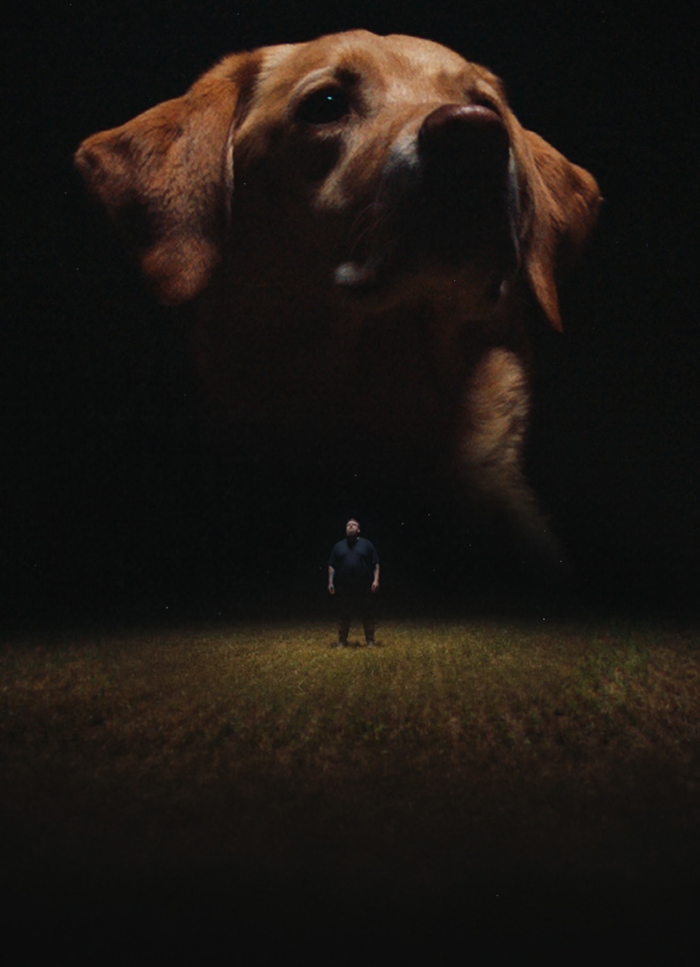 Unconditional poster
